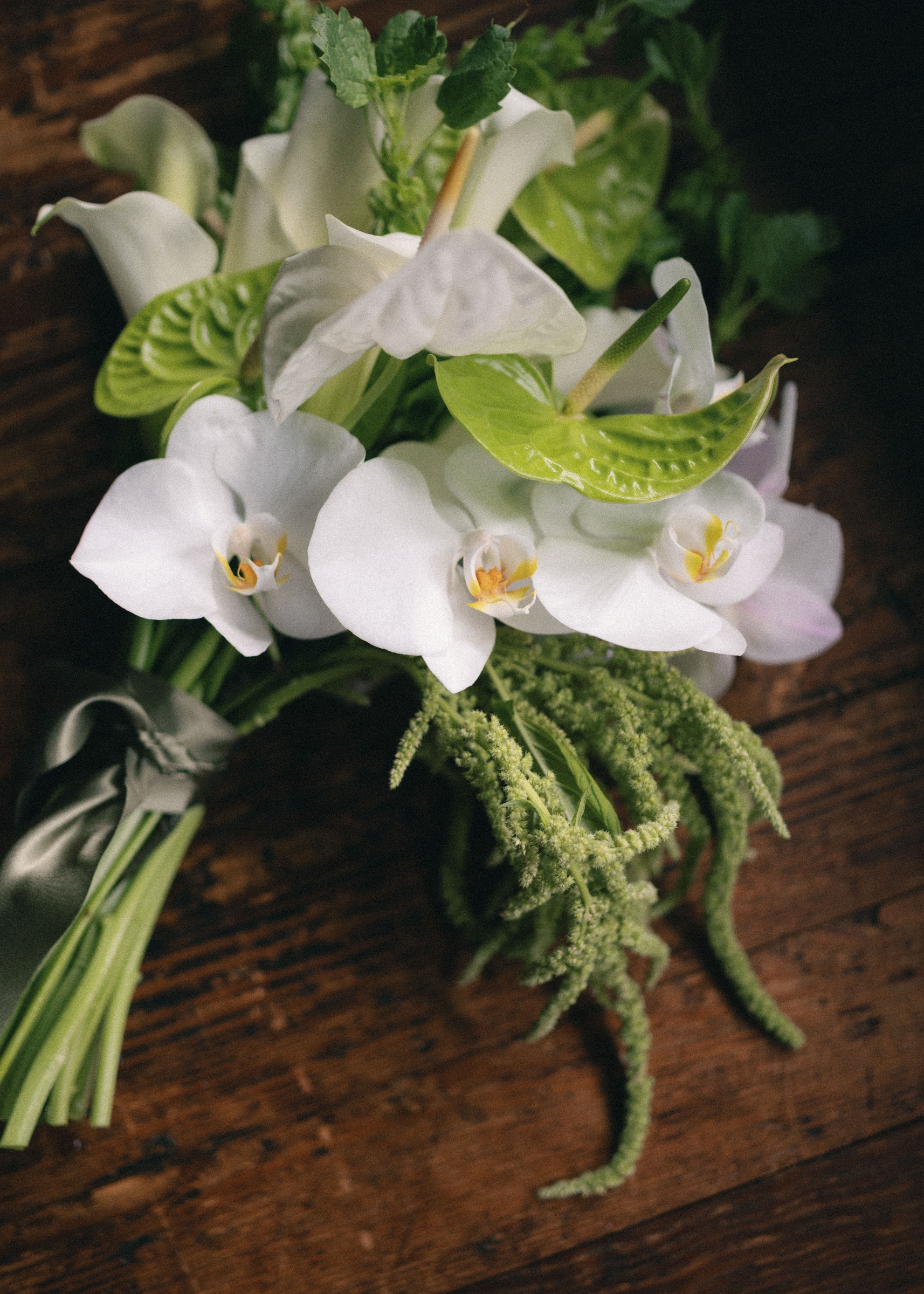 Rhapsody in Blooms portfolio image 40