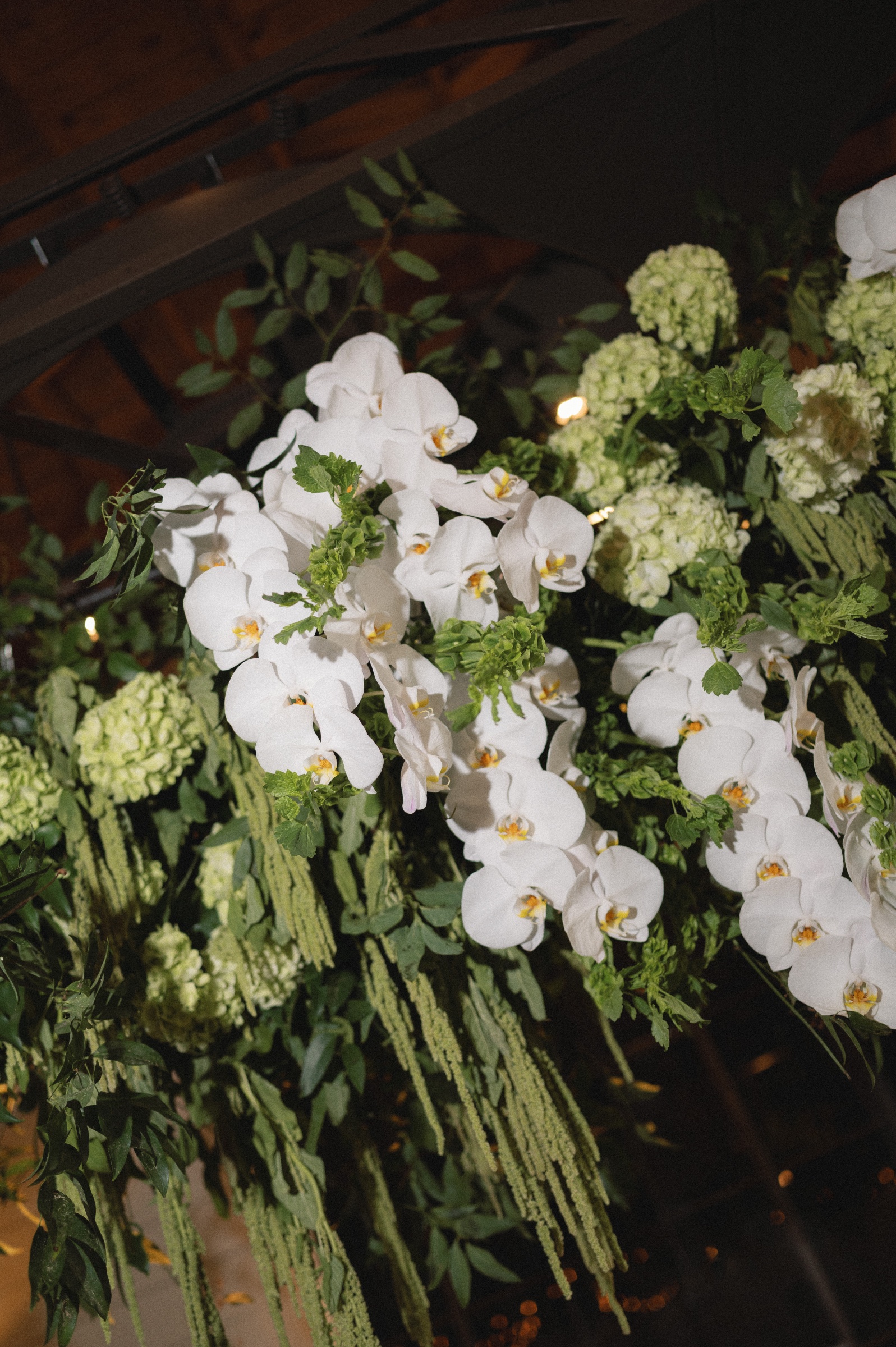 Rhapsody in Blooms portfolio image 41