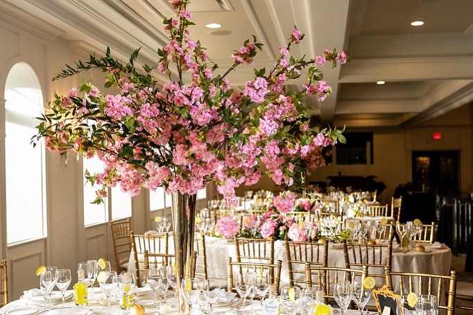 PeterJames Events portfolio image 17